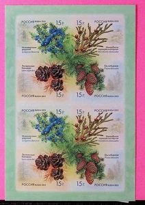RUSSIA Sc 7435 NH MINISHEET OF 2013 - TREES - (GA25) - Picture 1 of 1