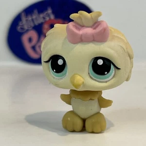 OWL #147 - Authentic Littlest Pet Shop - Hasbro LPS - Picture 1 of 4