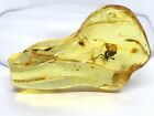 Baltic AMBER Piece with Insect Inclusion Fossil Insects Natural Amber 7,7g 12513