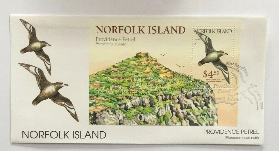 NIFD43) Norfolk Island 1999 Birds - Providence Petrel M/S cubierta FDC  Foto 1 de 1