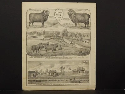 Mapa de Pensilvania, condado de Washington, 1876 grabados agrícolas doble cara N5#70 Foto 1 de 2
