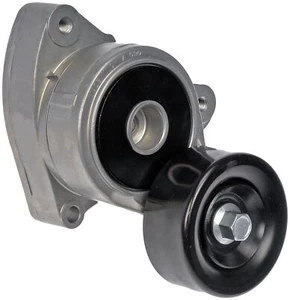 Dorman 419-005 Accessorio Gruppo Tenditore Cinghia Trasmissione Compatibile con Select... - Foto 1 di 3