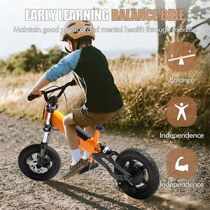 12 Zoll E Bike Kinderfahrrad Kinderlaufrad Elektro Rad Balance Bike 24V 4AH 200W - Bild 1 von 15