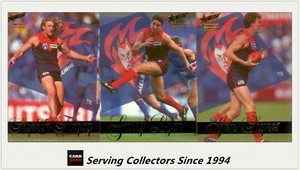Rare--1995 Select AFL Sensation Cards Base Card Team Set Melbourne (3)