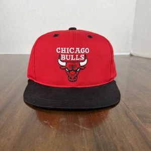 Vintage Chicago Bulls Twin Enterprise Todler Snapback Hat NBA Official Licensed - Picture 1 of 12