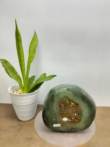 Rare green brown petrified wood polished natural home decoration 3300gr 303 - Picture 1 of 8