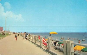 Vintage Postcard Scenic Shoreline View Virginia Beach Virginia - Picture 1 of 2