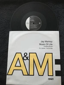Jay Markay - Music Of Life 3 Track 12'' Vinyl DJ PROMO AMYDJ 778 (1991) HOUSE EX - Imagen 1 de 7