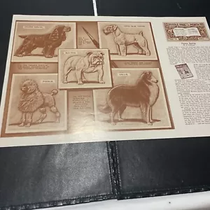 Lot Of 22 Vintage Leathercraft Doodle Page Of The Mont By Craftool Co. -1950’s - Picture 1 of 23