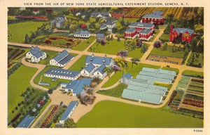 New York State Agricultural Experiment Station Geneva, New York postcard vtg. - Picture 1 of 2