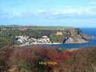 Photo 12x8 View at High Cliff Runswick Bay A view over berry laden hawthor c2014