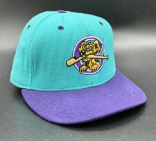 Vintage 90s New Era MiLB Charleston RiverDogs Minor League Fitted Hat Size 7 1/8