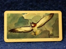 1959 -1974 Brooke Bond / Red Rose Tea Cards, Black & Blue Stripe cards U-Pick-1