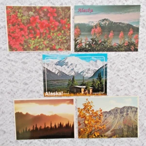 Lote de 5 postales de Alaska sin usar, paisaje, tundra, hierba de fuego, cabaña, desierto - Imagen 1 de 2