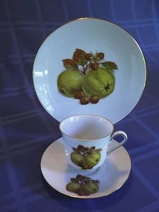 Taza de té, platillo, juego de platos de colección Bareuther Waldsassen Bavaria ~ 122 123 - Imagen 1 de 3