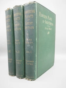 Die blühenden Pflanzen Großbritanniens. 3 vols. von Anne Pratt, 1855 HB Satz - Bild 1 von 2