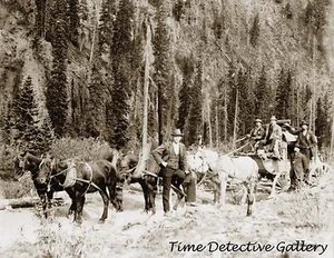 Postkutsche zwischen Ouray & Red Mountain, Colorado - um 1900 - historischer Fotodruck - Bild 1 von 1