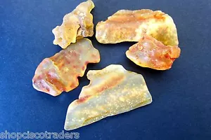 Copal Resin 20g Lot 5 Healing Crystals Reiki Energy Blockages Fossil Chakra - Picture 1 of 2