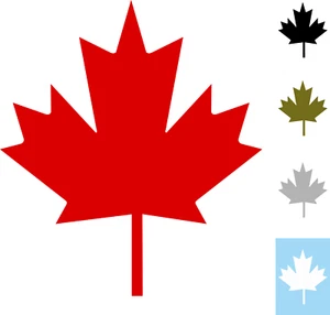 Canada Foglio Acero Adesivo Auto Moto div Colori 11x10 cm PL - Foto 1 di 13