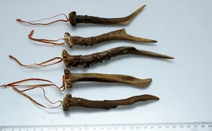  Bellissimo addobbo natalizio per albero composto da 5 bastoncini di corna vere - Foto 1 di 2