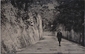 Postal de colección Bermudas Top Of Government Hill C279 - Imagen 1 de 2