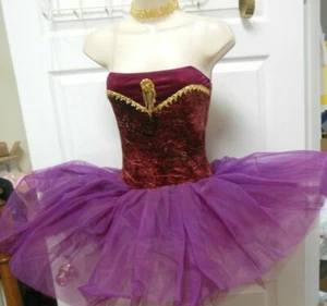 Gold Gilded Short Ballet Costume Wine Graduated Tutu Velvet w/accessories - Picture 1 of 8