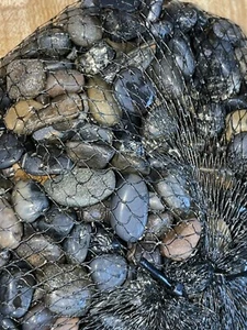 2 pkgs Dark Mix River Rock Pebbles Decorative Terrarium Potting Stones 3.5# - Picture 1 of 9