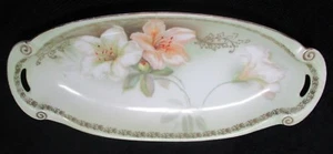 Vintage RS Tillowitz Silesia HAND PAINTED PORCELAIN CELERY/RELISH DISH ~ c.1930 - Picture 1 of 5