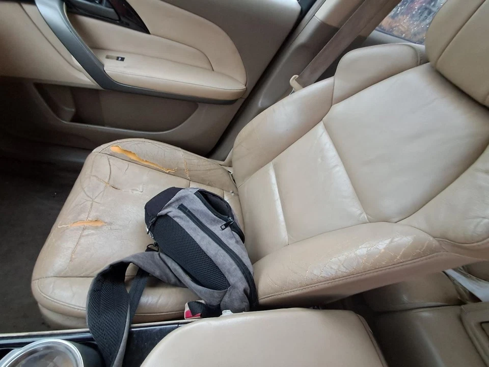 Seat Belt Front Bucket Seat Passenger Retractor Fits 07-13 MDX 2614263 Foto 1 de 1