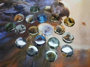 D&D DnF Monster Tokens Pathfinder Frostgrave Ghouls and Baddies - DnD RPG - Picture 1 of 6