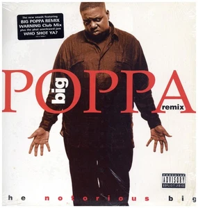 Notorious B.I.G., The - Big Poppa (Remix) '95 12" US ORG!EX+/EX- W/S - Picture 1 of 5