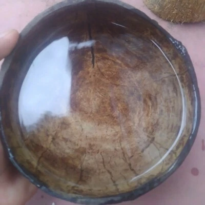 Reciclaje ecológico de cáscara de coco Hecho a mano 100% natural envío gratis Foto 1 de 4