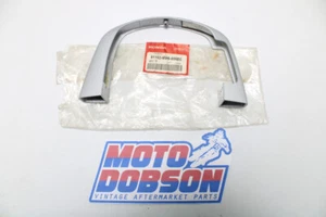Honda GL1500I A Gold Wing Interstate 1996  61102-MW5-000ZC Fender Guard - Picture 1 of 7