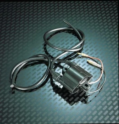 WSM Ignition Coil 004-199 2102-0203 82-9199 - Image 1 of 4