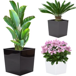 Blumentopf Hochglanz Quadrat mit Einsatz – Pflanzkübel 6 Farben Modern Elegant - Bild 1 von 27