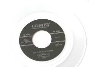 DOO WOP~ STAN VINCENT~& THE DEL-SATINS~ SHE'S SO WONDERFUL~ PLEASE BE MINE~ - Imagen 1 de 2