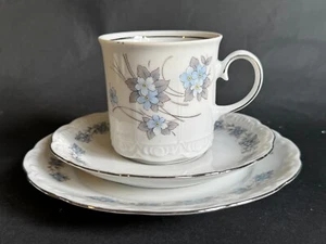 VINTAGE MITTERTEICH BAVARIA TRIO TASSE UNTERTASSE TELLER VERGISSMEINKNOTEN - Bild 1 von 11