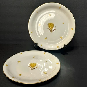 Vtg Lot of 2 Easterling Golden Crocus Dinner Plate Bavaria Germany Approx 10.25" - Picture 1 of 6