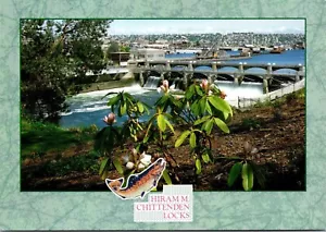 Spill Way Dam Six Tainter Gates -Chittenden Locks Seattle WA Postcard Unposted - Picture 1 of 2