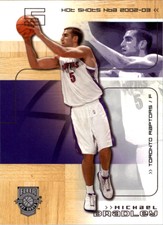 2002-03 Fleer Hot Shots Toronto Raptors Basketball Card #99 Michael Bradley