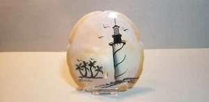 SD-001 DOLLARO DI SABBIA DIPINTO A MANO CON ESPOSITORE - Foto 1 di 2