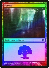 Forest (Version 383) FOIL 10th Edition HEAVILY PLD Basic Land MTG CARD ABUGames