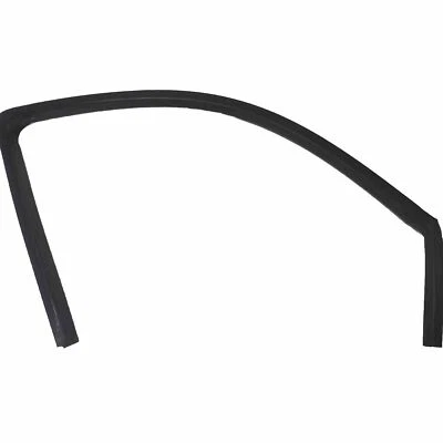 2004-07 Durango Front Passenger Door Window Glass Run Seal Weather Strip RH OEM - Image 1 of 4