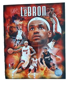 LeBron James Heat Photo Collage - Picture 1 of 1