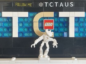 Lego Bionicle Minifigure Bionicle Toa Hordika Nuju 51640 8757 8758 8759 8769