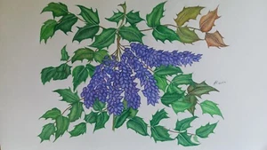 Tavole Botaniche - Foto 1 di 1
