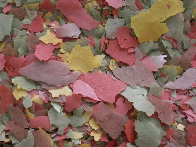 AQUARADA Zierfischflocken 500ml Hauptfutter Flocken Flockenfutter Fischfutter Aquarium