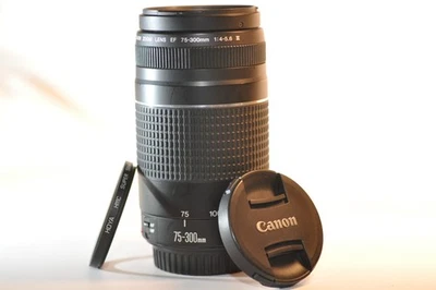 Canon EF 75-300mm f/4-5.6 III lens NICE for EOS A2 630 Rebel T8 T7 T6 90D 80D 5D - Image 1 of 4