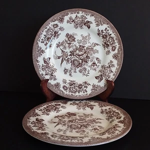 Royal Stafford ENGLAND Vintage 2 Plate 8" Brown Birds NEW Price for 1 - Picture 1 of 8