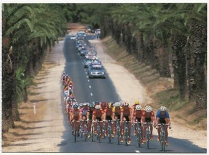 Postal de ciclismo - Tour Down Under 1999 - Barossa Valley Wine Country, Australia - Imagen 1 de 2